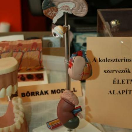 Nagyobb kép megtekintése